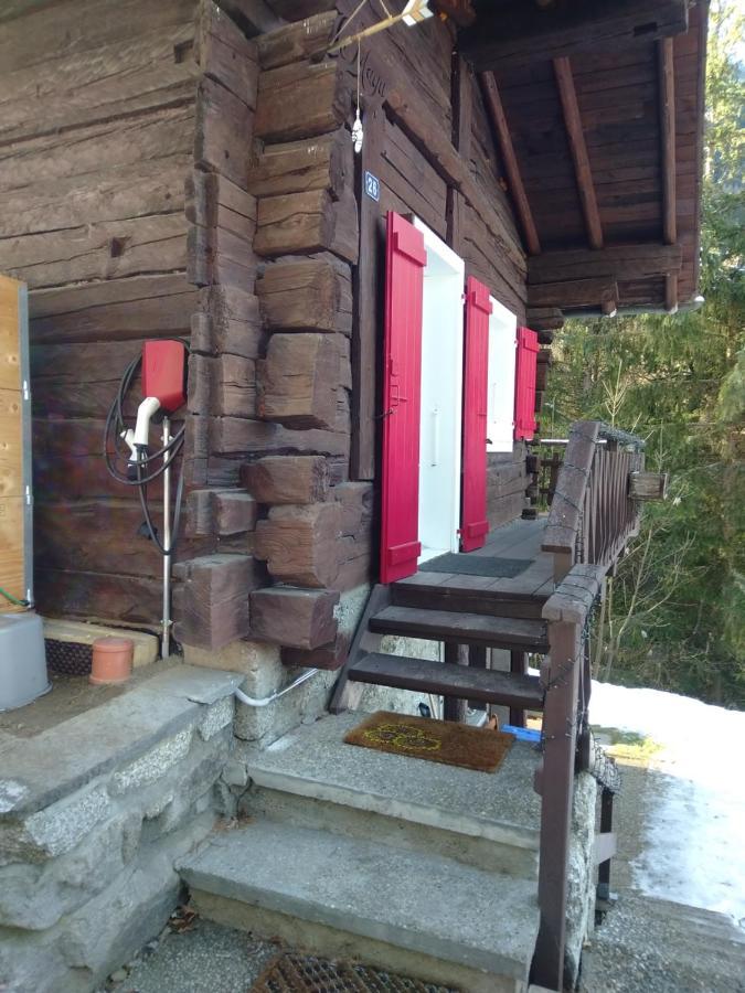 Bovernier Petit Chalet Rustique Et Bucolique מראה חיצוני תמונה